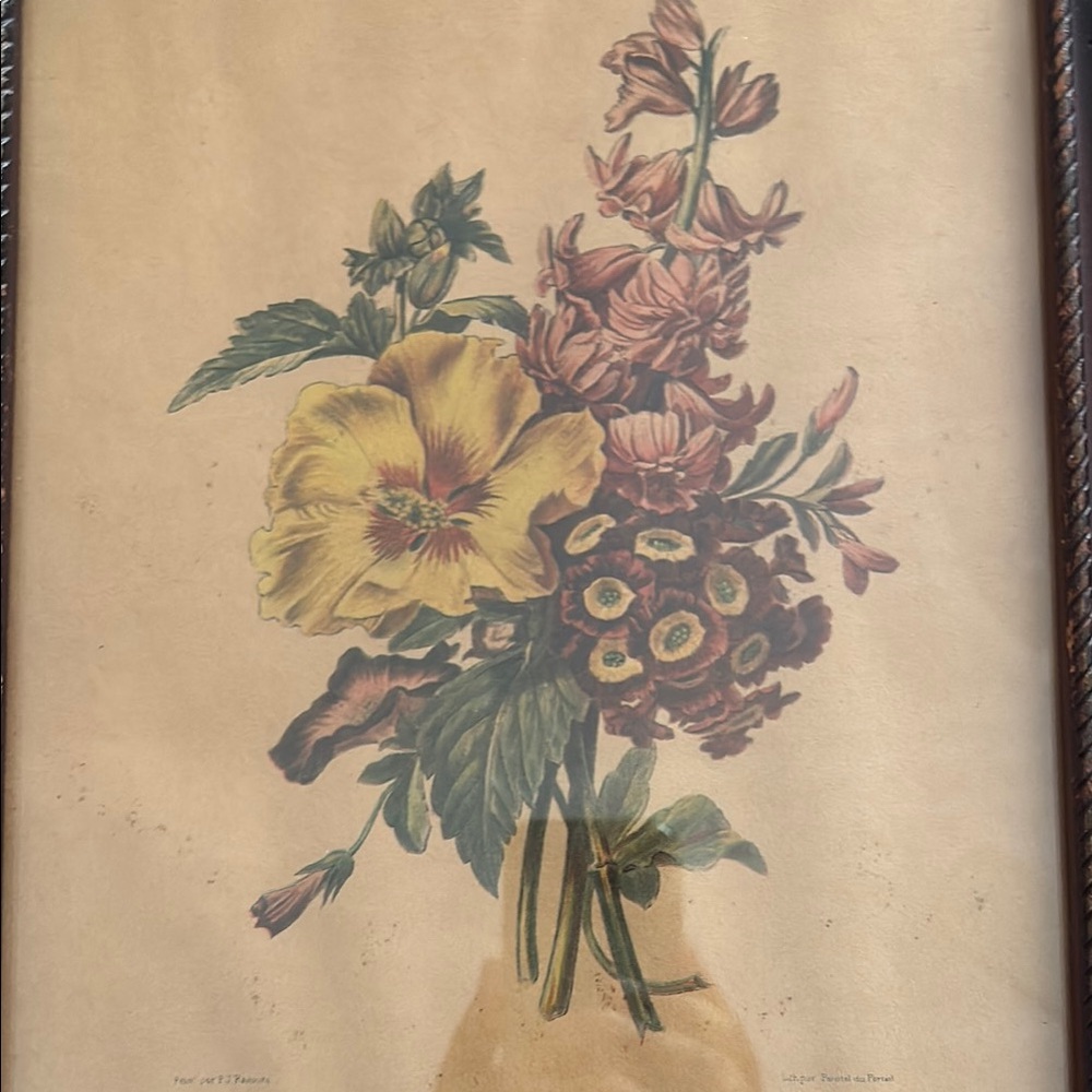 Floral Art Print in Frame